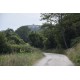 Properties for Sale_FARMHOUSE TO BE RENOVATED WITH LAND FOR SALE IN LAPEDONA, SURROUNDED BY SWEET HILLS IN THE MARCHE province in the province of Fermo in the Marche region in Italy in Le Marche_31